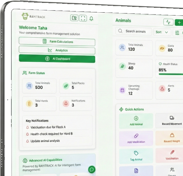 RayiTrack dashboard on iPad